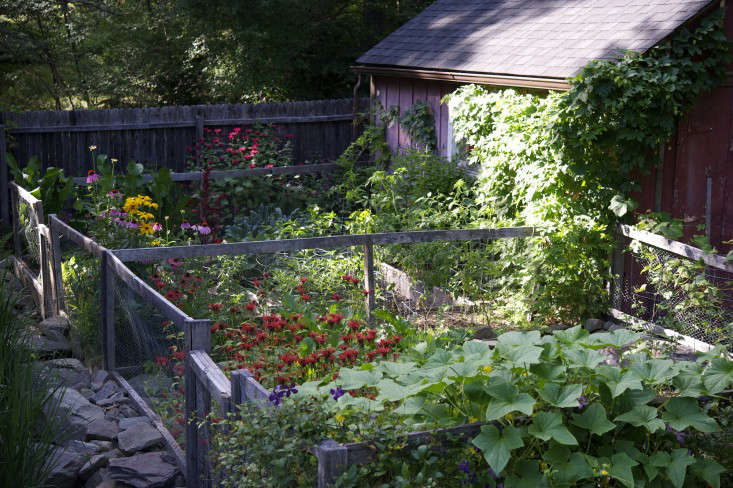 Not to be confused with garden planters or containers, raised garden beds have no bottoms. They are four-sided frames to hold above-ground mounds of soil in place. Open to the ground underneath, raised beds offer excellent drainage and don’t prevent plant roots from stretching out underneath. Photograph by Laura Silverman.